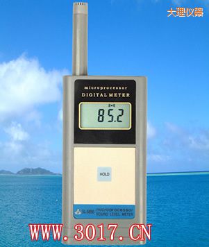 大理聲級計(jì)(噪音計(jì))